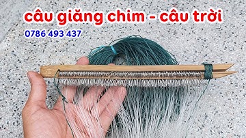 Bán bộ câu giăng chim không dùng mồi, giao toàn quốc