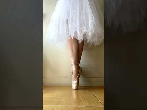 اولین چیزی که باشنیدن اسم باله میاد تو ذهنت چیه  باله 