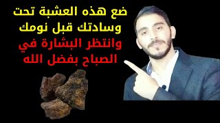 ضع هذه العشبة تحت الوسادة قبل نومك لطرد النحس وقلة الرزق والسحر والحسد والتعطيلات نهائيا