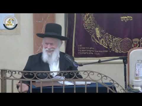 פוסק הדור הגר"י זילברשטיין שליט"א בעצרת: "נערות וילדות על אופניים זה חוסר צניעות" - בקודש פנימה