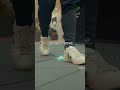 Every Step You Take Creates Power