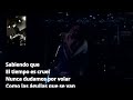 Caifanes   Pero Nunca Me Caí En Vivo karoke