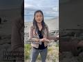 Washington beaches tested for bacteria