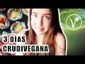 3 Días como Crudivegana + RECETAS