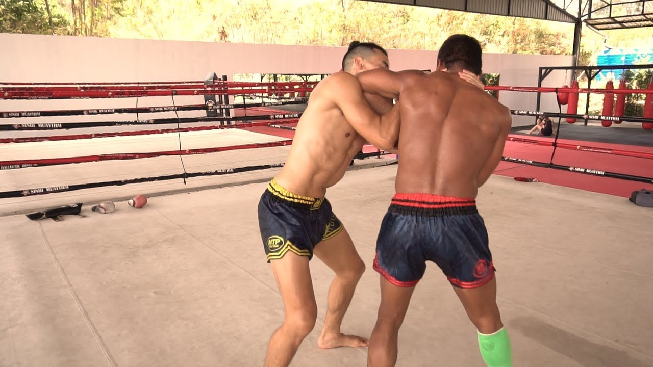 Elbow Strike from the Plum Position - Muay Thai Clinching