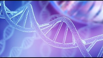 Using Hidden Markov Models to Predict Promoter Regions