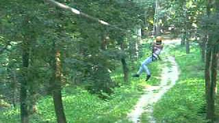 holdfenyliget0822 087.avi