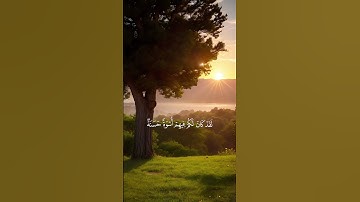 اكتب شيء تؤجر عليه #quran #اكسبلور #المصحف #قرآن #راحة_نفسية #قران_كريم #ياسر_الدوسري #سورة_الممتحنة