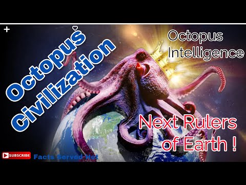 If humans die out. it is likely to be Octopuses, the next rulers of the Earth. How and Why?