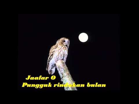 Jaafar o - Pungguk rindukan bulan - YouTube