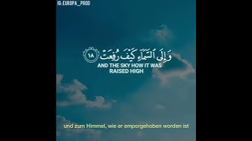 الآية (17) من سورة الغاشية (حالات واتساب)