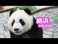 Yuihin Special ♪ 結浜スペシャル ♪ 何度も目の前に来てくれるかわいすぎる結浜をずっと楽しむ!!