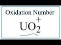 Understanding Oxidation Numbers of Uranium