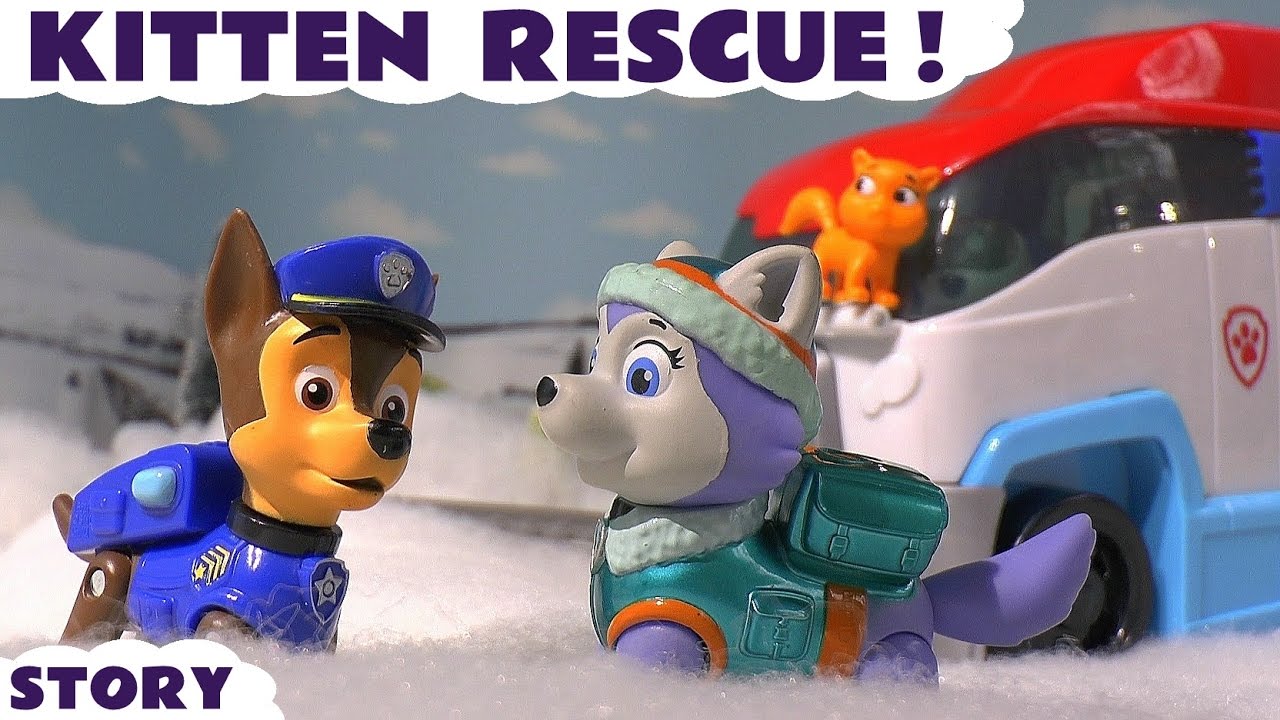 paw patrol cats toys