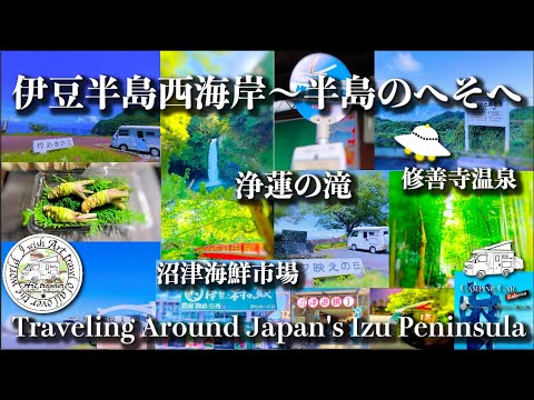 【伊豆半島 西海岸から沼津まで】沼津の海産物をくらう  半島のへそへ  軽キャンで行く伊豆半島一周 車中泊の旅