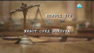 Съдебен спор - Епизод 379 - Живот сред боклука (01.05.2016)