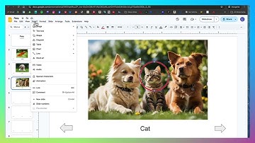 Google Slides: Shapes and Lines
