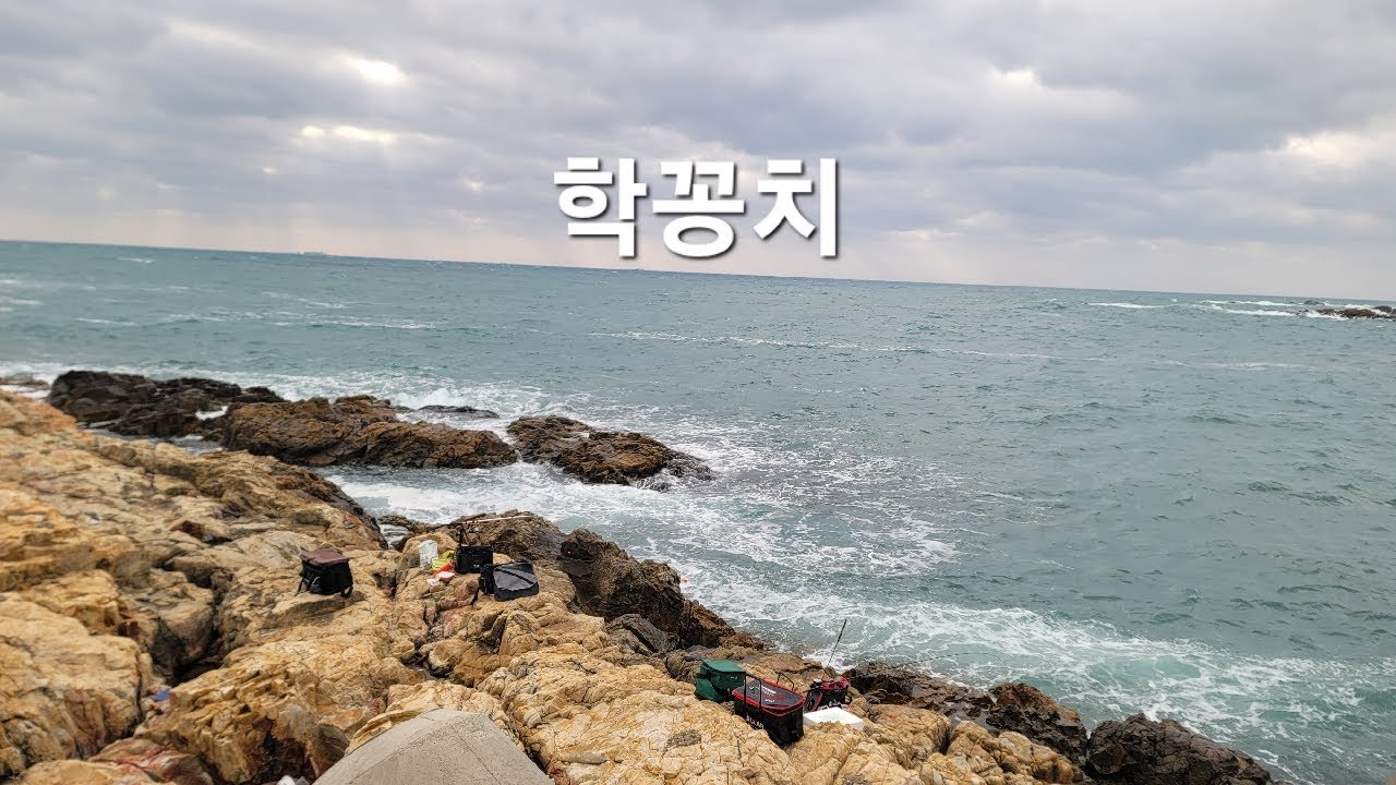 악조건에 꽁치가 나와 줄런지 #학꽁치 #fishing #생활낚시