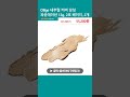 OBge 내추럴 커버 남성 파운데이션 13g, 2호 베이지, 2개