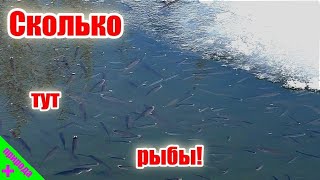 На рыбалку с лыжами.Красивая зимняя природа!