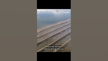 Thumbnail of Qinghai Lake sees migration peak of naked carp in late June