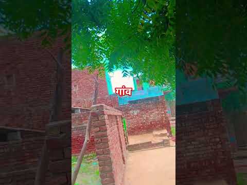 #ट्रेंडिंग #वीडियो#😎😎🌲