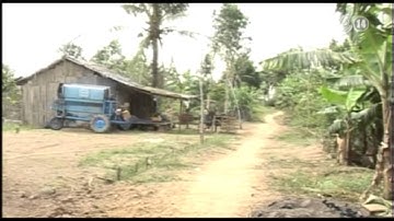 VTC14_Thí điểm chi trả dịch vụ môi trường rừng ở VQG Mũi Cà Mau