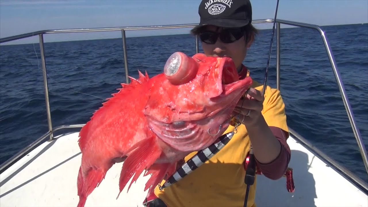 中深海から深海魚まで 何が釣れるか 手巻き深海 専門店