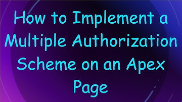 How to Implement a Multiple Authorization Scheme on an Apex Page
