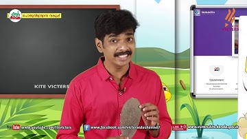 KITE VICTERS STD 02 English Class 30 (First Bell-ഫസ്റ്റ് ബെല്‍)