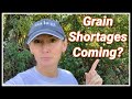 Coming Grain Shortages & My Dream to WARN You