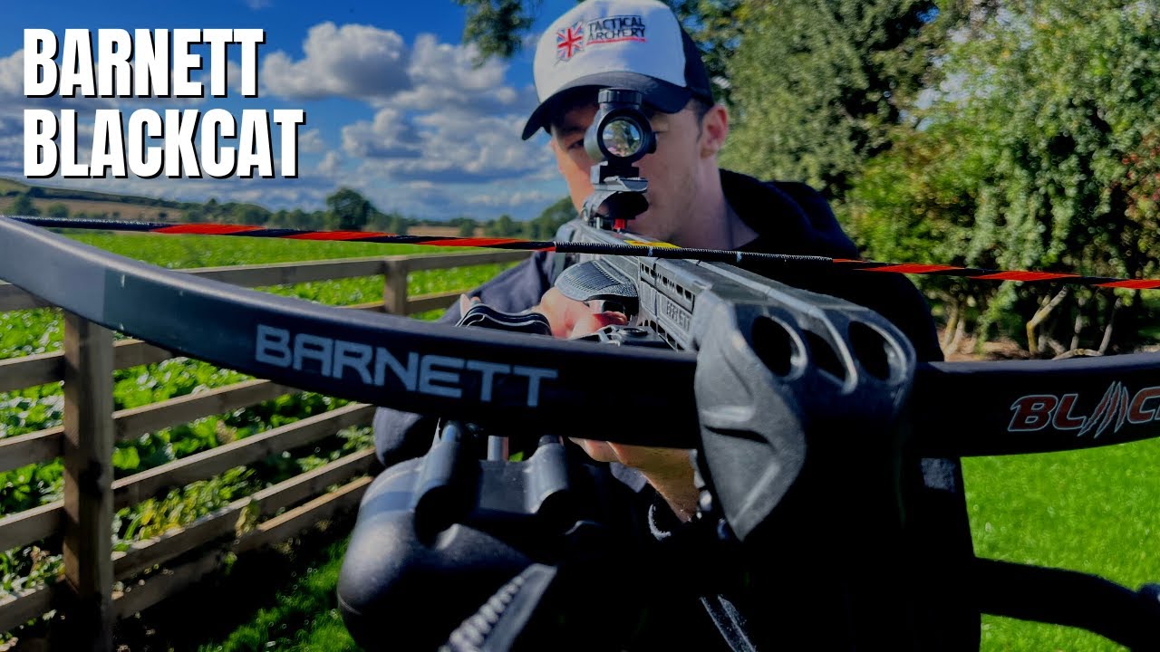The Best Budget Recurve Crossbow? Barnett Blackcat Setup & Shooting -  Tactical Archery UK 
