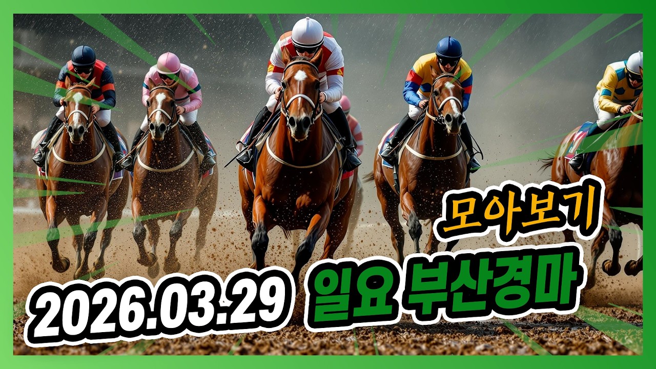 2026년 3월 29일 일요 부산경마 전체경주 모아보기