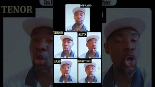 In Heaven There Is No Beer