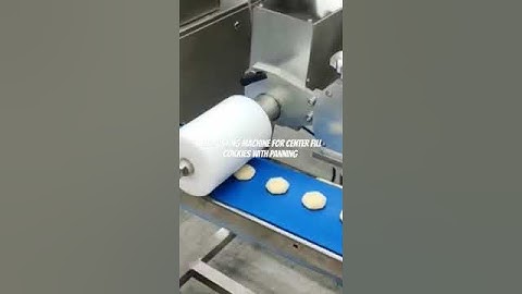Encrusting Machine for Centre Fill Cookies with Automatic Panning Machine