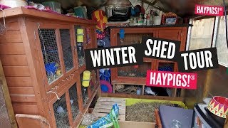 Winter Shed Tour 2019 - Our Guinea Pig Pad