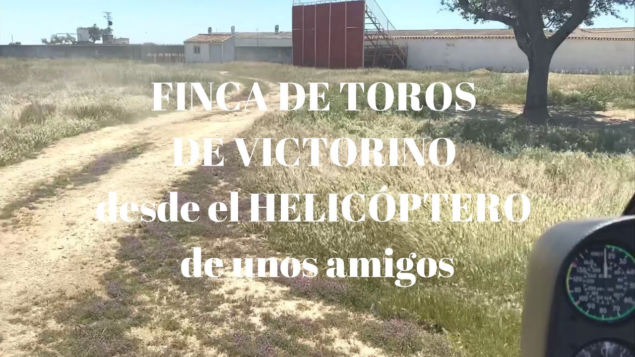 ¡DESDE UN HELICÓPTERO! 🚁🚁🚁 Descubre nuestra FINCA DE TOROS de VICTORINO