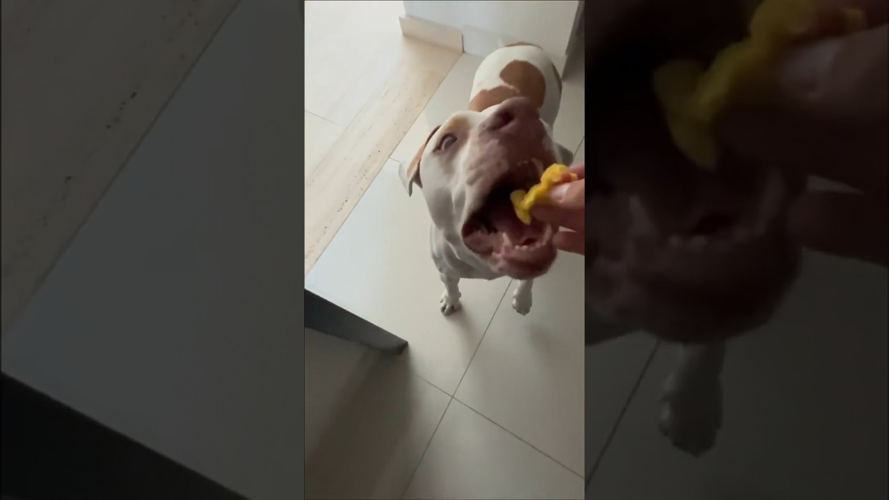 Si veo que les gusta, subire mas recetas