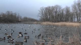 4Kカメラ映像その３・安曇野市白鳥湖