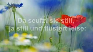 Video thumbnail of "Schlesierlied. Kehr ich einst zur Heimat wieder. Herzbubenchor & Orchester. Mit Text (HD 1080p)"