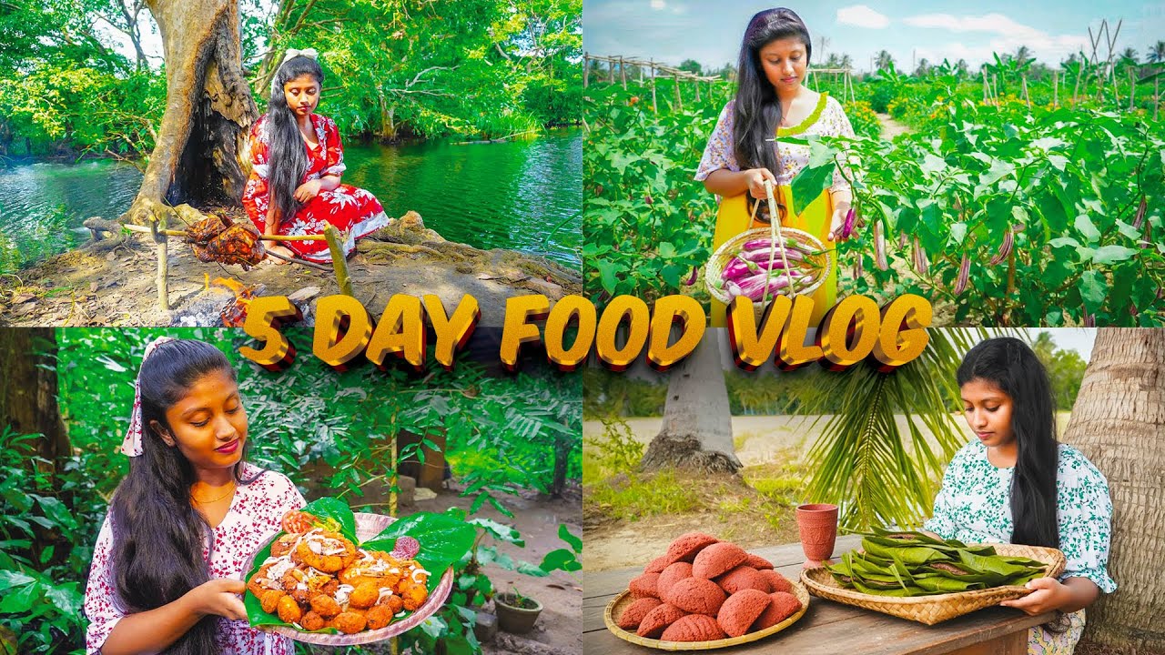Sri Lankan 5 Delicious Recipes in 1 Video (Sri Lankan  village life) 🍆🍄 🦐🍗