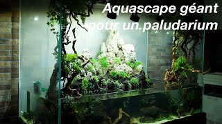 Aquascape géant pour un paludarium -  Par Aquarilis   4K