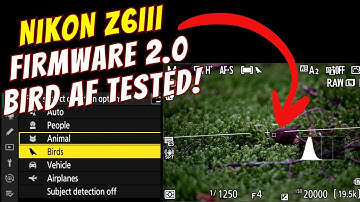 NIKON Z6 III - FW 2.0 BIRD AUTOFOCUS TESTED - IS IT GOOD NOW?