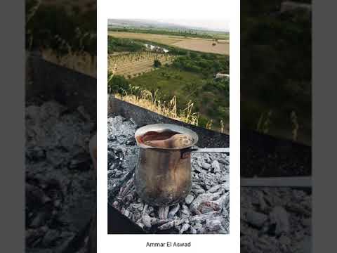 فيروز قهوة الصباح القهوة البحرية 