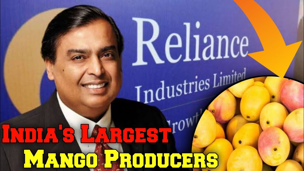 Reliance Industry Is The Largest Mango Producer Surprising Facts top-10-countries-for-mango-production-youtube