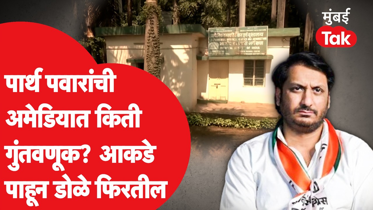 Parth Pawar यांचे Amedia Company मध्ये किती Shares? Rajyasabha च्या प्रतिज्ञापत्रातून माहिती उघड