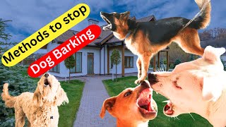 How to Control Dog Barking | Tips and Techniques for a Quieter Home #dogbarking #dogtraining #dodo by New Pet Society - Pet Life 249 views 6 months ago 3 minutes, 2 seconds