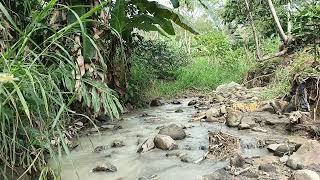 Nature Asmr  Calming Sounds Of River Water And Forest