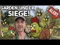 Managing Pests &amp; Wildlife Finding Balance in a Shire Style Garden