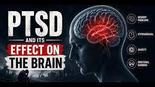 PTSD Explained: How Trauma Affects the Brain